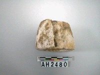 藏品(貝環)的圖片
